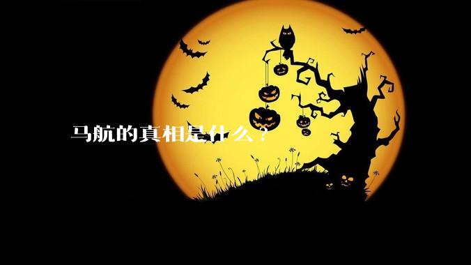 马航的真相是什么?